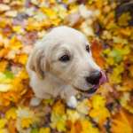 Ersteller:in Zoe Profilbild