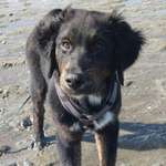 Ersteller:in Tabea Profilbild