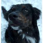 Ersteller:in Tabea Profilbild