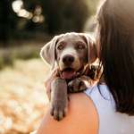 Ersteller:in Alina Profilbild