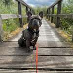 Ersteller:in Lena Profilbild