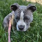 Ersteller:in M. Profilbild