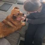 Ersteller:in Carina Profilbild