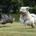 Ersteller:in Gabriela Profilbild