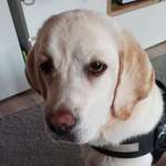 Ersteller:in Jacqueline Profilbild