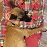 Ersteller:in Alicja Profilbild