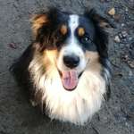 Ersteller:in Jörg Profilbild