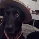 Ersteller:in Waltraud Profilbild