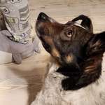 Ersteller:in Nora Profilbild