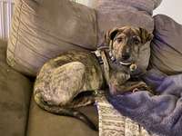 Was steckt in Lilly?-Beitrag-Bild