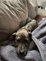 Was steckt in Lilly?-Beitrag-Bild