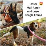 Ersteller:in Nadine Profilbild