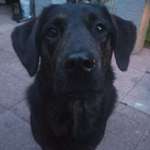 Ersteller:in Ruth Profilbild