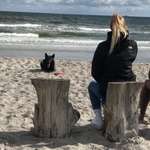 Ersteller:in Marlen Profilbild