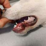 Negative Kong Erfahrung. Ist euch so etwas auch schon passiert?-Beitrag-Bild