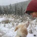 Ersteller:in M. Profilbild