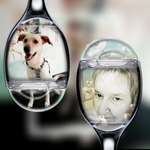 Ersteller:in Viola Profilbild