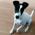 Ersteller:in Annika Profilbild