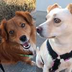 Ersteller:in Bianca Profilbild