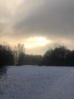 Hundeauslaufgebiet-Englischer-Garten Nord-Bild