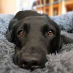 Ersteller:in Bente Profilbild