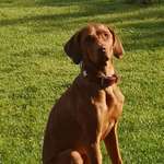 Ersteller:in Ute Profilbild