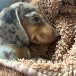 Ersteller:in Laura Profilbild