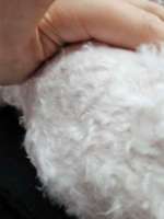 HILFE, ich habe meinen Hund zu kurz geschoren-Beitrag-Bild