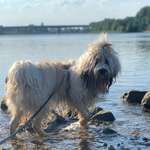 Ersteller:in Celine Profilbild