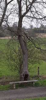 Hundeauslaufgebiet-Knotenpunkt
im Naturpark Wildeshauser Geest-Bild