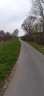 Hundeauslaufgebiet-Knotenpunkt
im Naturpark Wildeshauser Geest-Bild