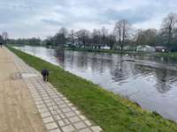 Hundeauslaufgebiet-Knotenpunkt
im Naturpark Wildeshauser Geest-Bild