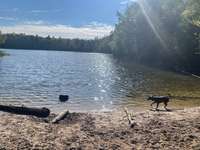 Hundeauslaufgebiet-Sandersfeld-Bild