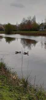 Hundeauslaufgebiet-Knotenpunkt
im Naturpark Wildeshauser Geest-Bild