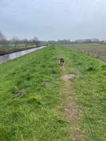 Hundeauslaufgebiet-Knotenpunkt
im Naturpark Wildeshauser Geest-Bild