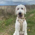 Ersteller:in Pia Profilbild