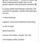 Suchmeldung-Tapi-Bild