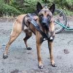 Ersteller:in Jörg Profilbild