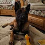 Ersteller:in Jörg Profilbild