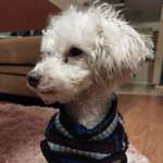 Ersteller:in Anke Profilbild