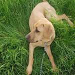 Ersteller:in Annemie Profilbild