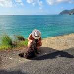 Ersteller:in Laura Profilbild