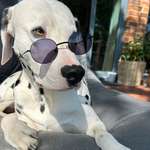 Ersteller:in Alicia Profilbild