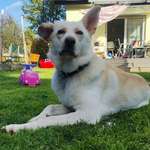 Ersteller:in Erol Profilbild