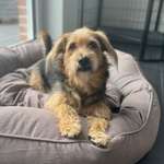 Ersteller:in Leah Profilbild