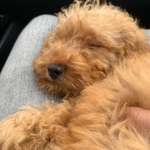 Ersteller:in Jana Profilbild