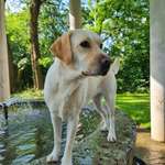 Ersteller:in Nathalie Profilbild