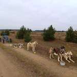 Ersteller:in Lana Profilbild