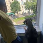 Ersteller:in Wladimir Profilbild