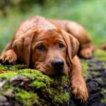 Ersteller:in Carmen Profilbild